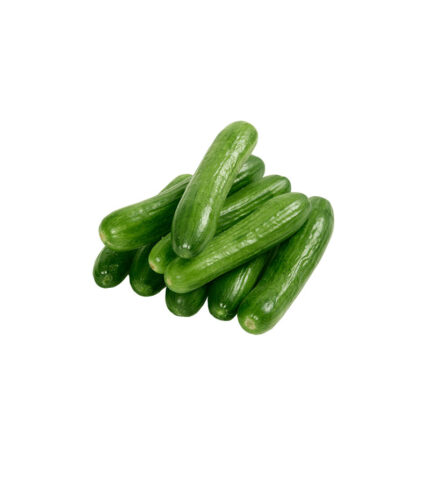 silor salatalık başköylü manav bilecik