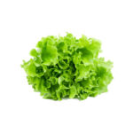 marul-baskoylu-manav-b