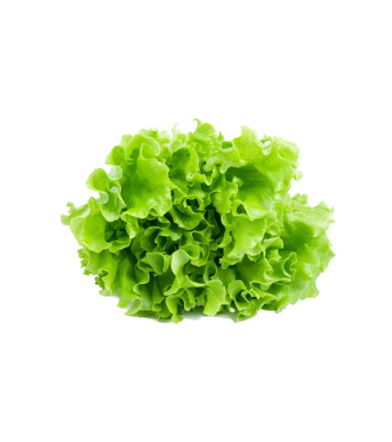 marul-baskoylu-manav-b