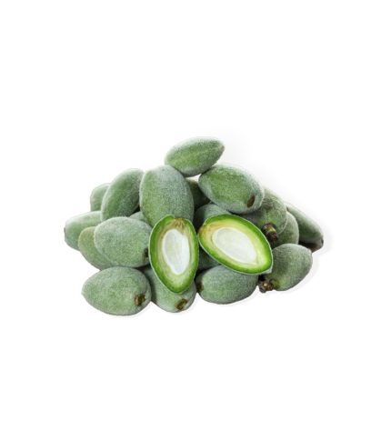 cagla-baskoylu-manav-bilecik