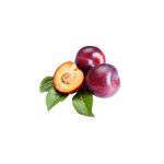 erik-kirmizi-baskoylu-manav-bilecik