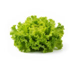 Marul Kıvırcık (Demet)